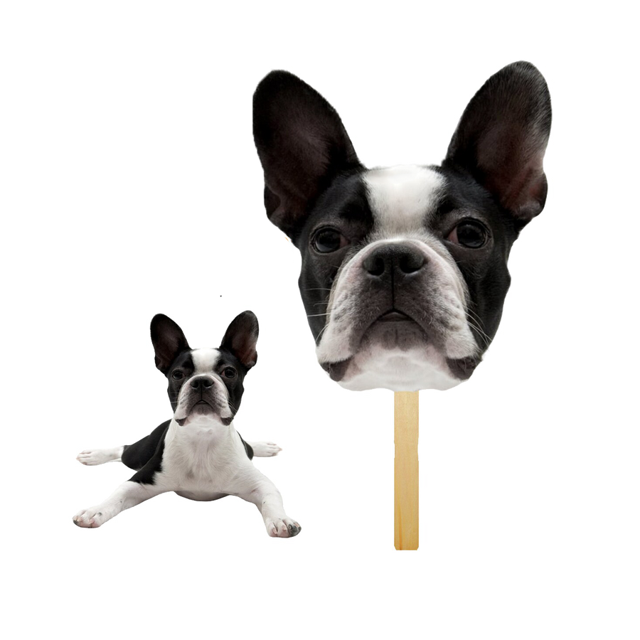 Photo Booth Prop Cut Outs Voyageprint